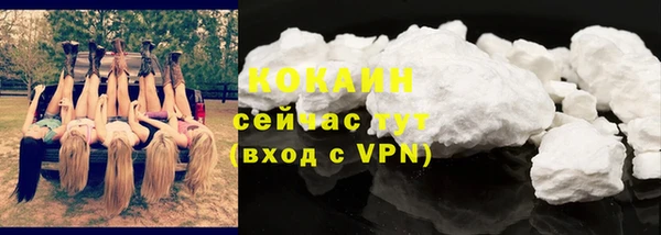 прущие грибы Белокуриха