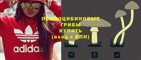 винт Богданович