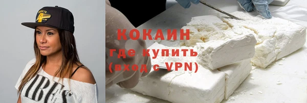 PSILOCYBIN Аркадак