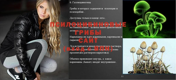 мет Богородицк
