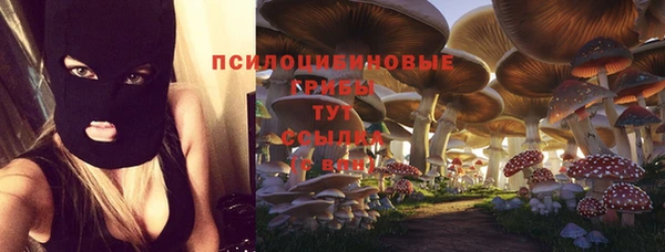 прущие грибы Белокуриха