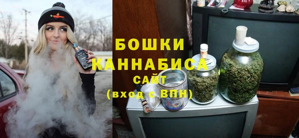 винт Богданович