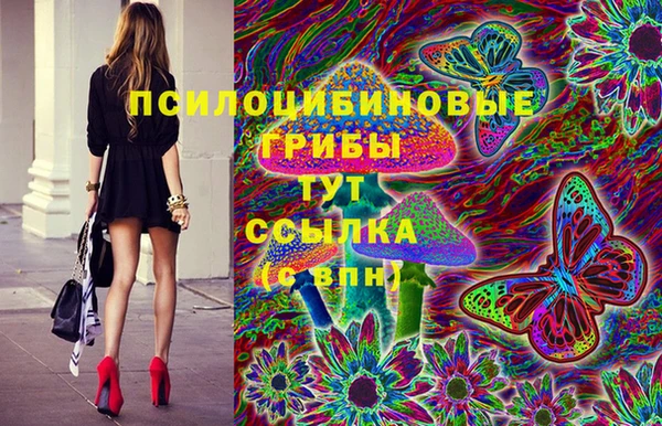 прущие грибы Белокуриха
